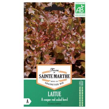 Lattuga a cespo Red Salad Bowl Bio - Ferme de Sainte Marthe