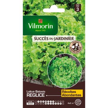 Lattuga batavia Reglice F1