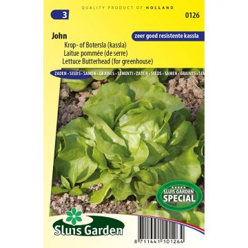 Lattuga a cappuccio John
