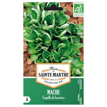 Soncino Coquille de Louviers Bio - Ferme de Sainte Marthe