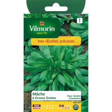 Soncino Seme grosso - Vilmorin