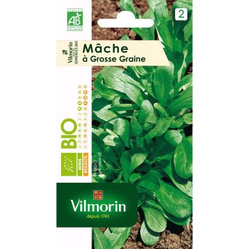 Soncino Seme grosso Bio