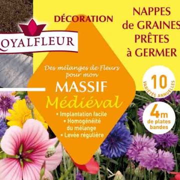 Miscela per aiuola medievale - Tasso