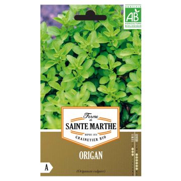Origano comune Bio - Ferme de Sainte Marthe