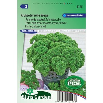 Prezzemolo riccio Wega