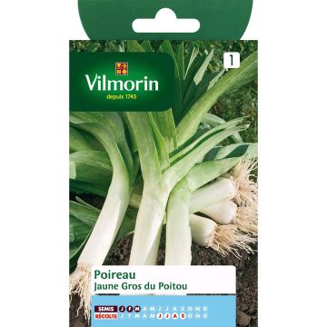 Porro Giallo Gros du Poitou - Vilmorin