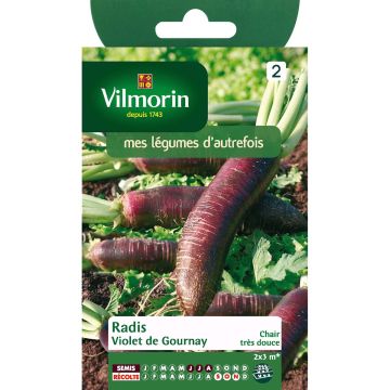 Ravanello Viola de Gournay