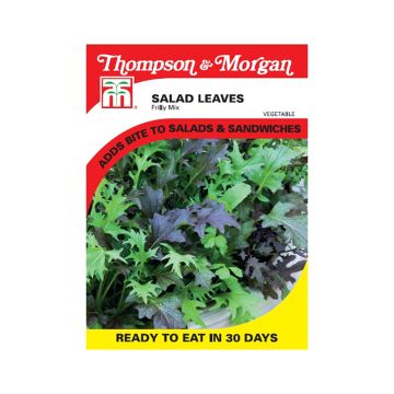 Misticanza Frilly Mix