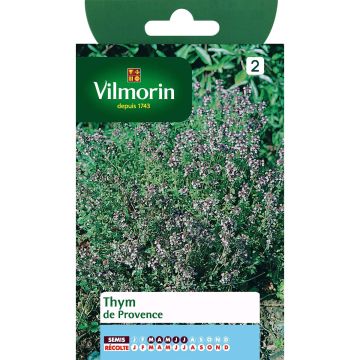 Thymus vulgaris - Vilmorin - Timo