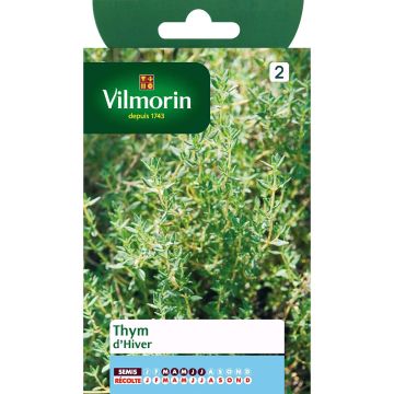 Thymus vulgaris - Vilmorin - Timo d'inverno