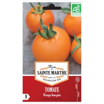 Pomodoro arancione Orange Bourgoin
