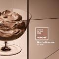 Mocha Mousse - Colore Pantone 2025