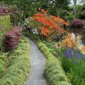 Piante per bordure