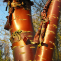 Prunus dalla corteccia decorativa