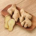 Zenzero - Zingiber
